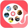 Mini Video Maker - Give Diffrent Video Effect