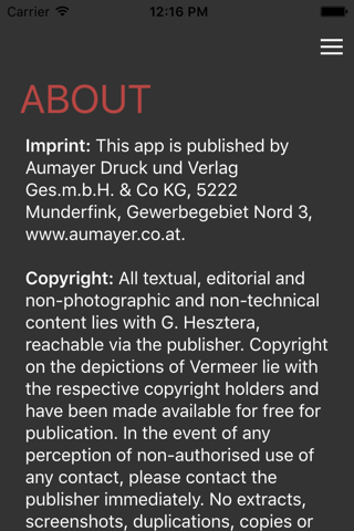 Vermeer In Detail screenshot 4