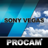 PROCAM for Sony Vegas - Cameralux Corporation