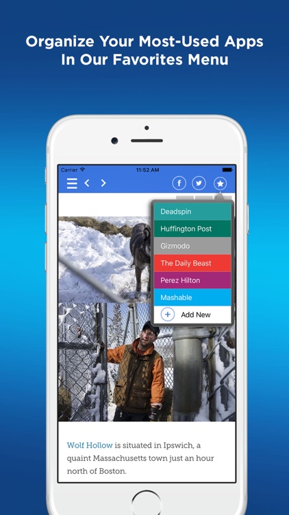 Blogs All In One Pro