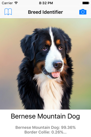 Dog Breed Identifier - Automatically identify a dog breed from a photo screenshot 3
