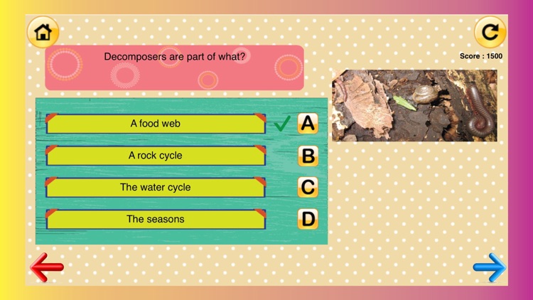 3rd Grade Science Glossary # 2: Learn and Practice Worksheets for home use and in school classrooms