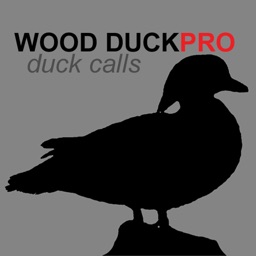 Wood Duck Calls - With Bluetooth Ad Free