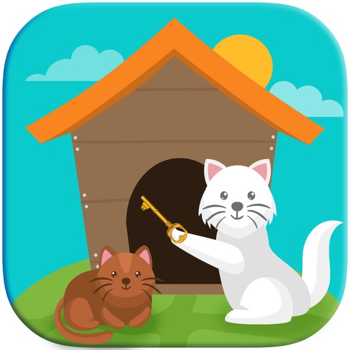 Tom Kitty iOS App