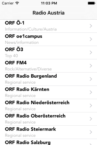 Radio Austria Live Stations screenshot 4