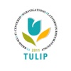 TULIP