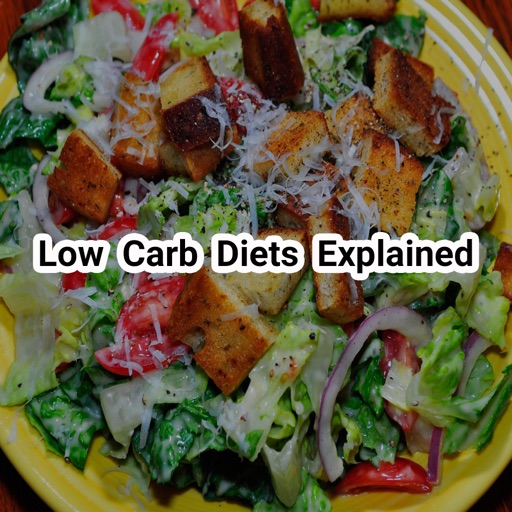 Low Carb Diets Explained iOS App