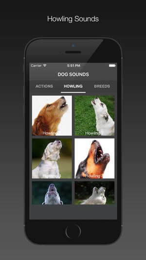 Dog Sounds - Free(圖3)-速報App
