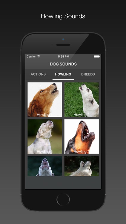 Dog Sounds - Free