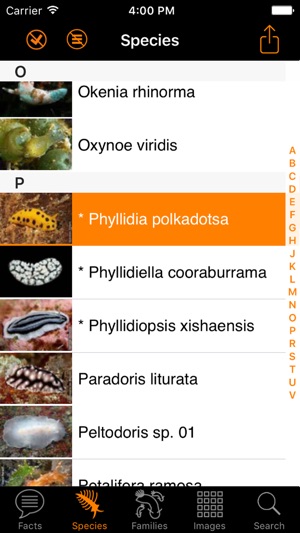 Nudibranch ID Indo Pacific(圖3)-速報App