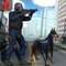 Angry Police Dog Simulator Free