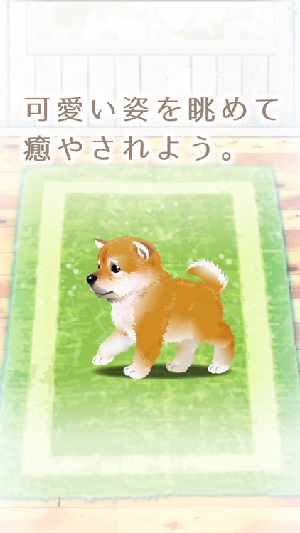 My Dog Life -Japanese Shiba Inu Edition- screenshot-4