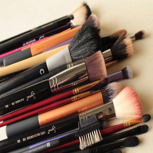 My Make Up Brush Set Icon