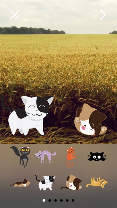 Now That's Cats & Kittens: Turn Your Photos Into Greeting Cards With Stickersのおすすめ画像1