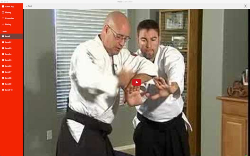 Made Easy! Aikido thumbnail 4