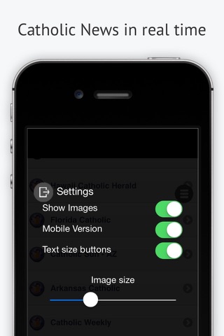 Catholic News in real time screenshot 4