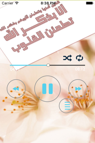 القرآن الكريم ـ عبد الباسط عبد الصمد ـ بدون نت screenshot 3