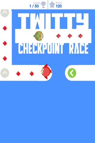 Twitty Checkpoint Race screenshot 4