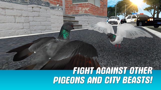 City Pigeon Simulator 3D Full(圖2)-速報App