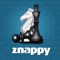 The multiplayer Chess Game, developed by http://www