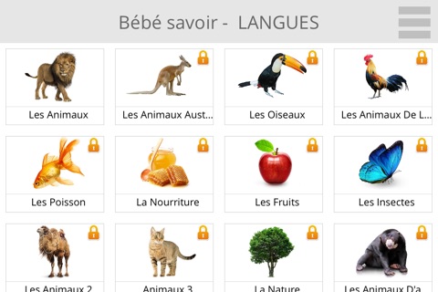 Baby Learn LANGUAGES screenshot 2