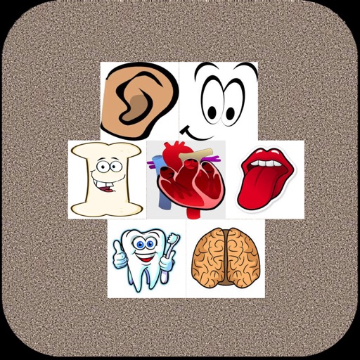 Body Quizzes For Kids Pro icon