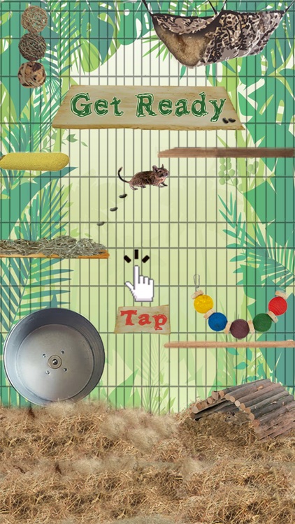 Donny Degu screenshot-4