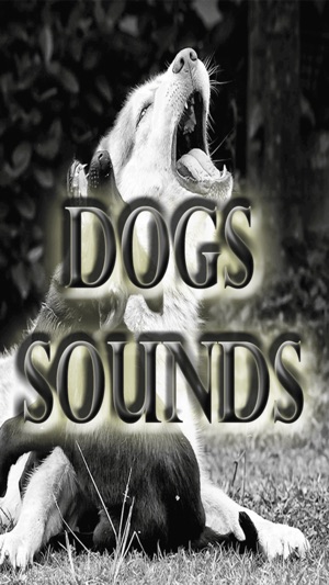 Barking Dog Sounds(圖1)-速報App