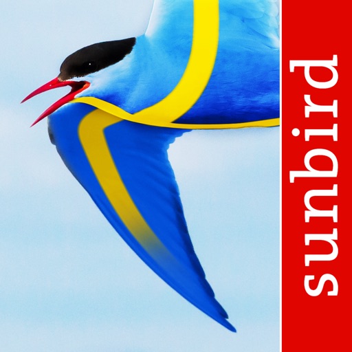 All Birds Sweden - A Complete Field Guide to the Official List of Bird Species Recorded in Sweden