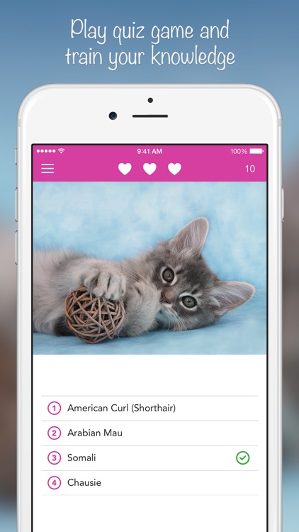 iKnow Cats 2 PRO - Cat Breed Guide screenshot-3