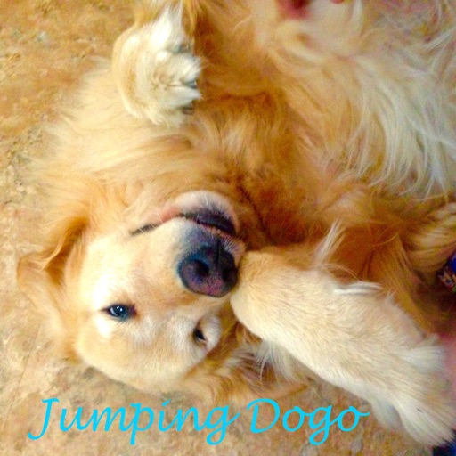 Jumping Dogo icon