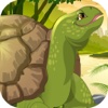 Tiny Turtle Mania in Lost of Fancy Fairy Kingdom