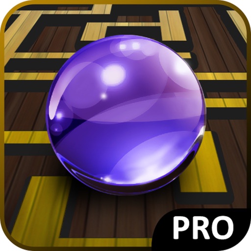 Ball Game Pro icon