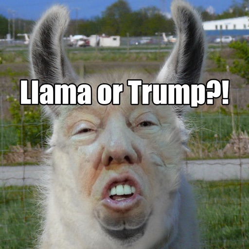 Llama Or Trump Icon