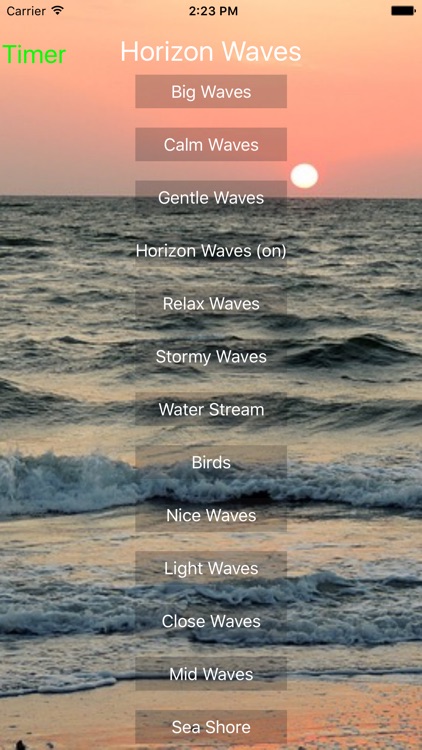 Beach Sound Central Pro