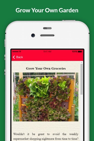 Grow Your Own Groceries screenshot 3