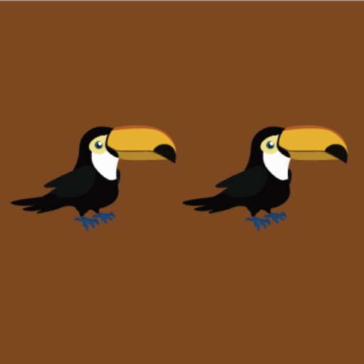 Touch Same Birds - consecutively iOS App