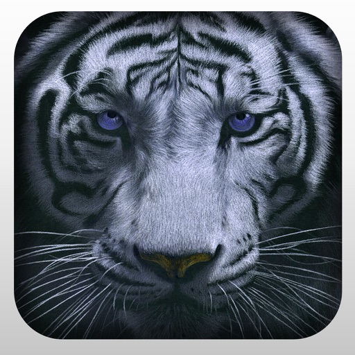 2016 Wild Hunting Simulation 3D Adventure Pro icon