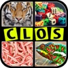 Close Up Pictures Free Game