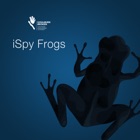 iSpy Frogs