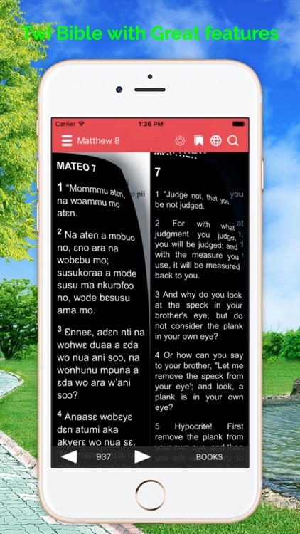 Twi Bible Akan screenshot-3