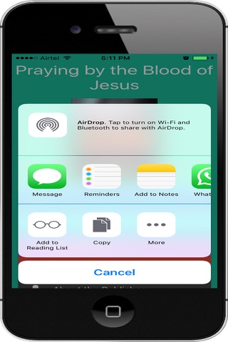 Praying by the Blood of Jesus screenshot 4