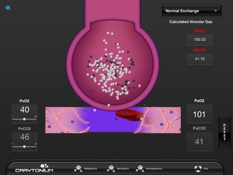Craytonium Interactive Physiology screenshot 2