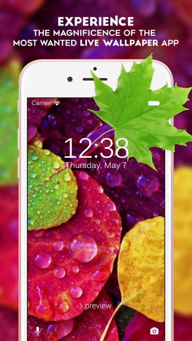  Live  Wallpapers  Animated  Themes Backgrounds  for iPhone  