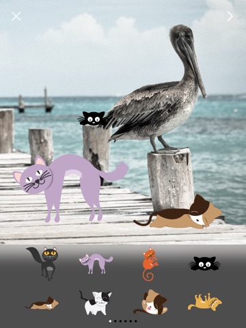 Now That's Cats & Kittens: Turn Your Photos Into Greeting Cards With Stickersのおすすめ画像5