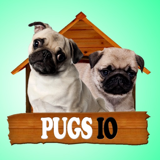 Pugs IO iOS App