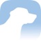 The iDogCam app allows live access to any iDogCam equipped cat or dog kennel cameras