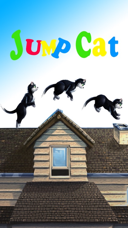 Jump & Cat