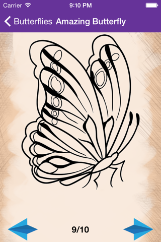 Artist Violet - How to draw Butterflies screenshot 4