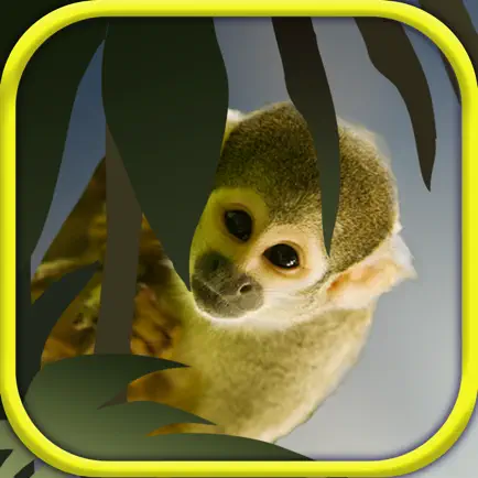 Small Animal Research:Animal care Game Cheats